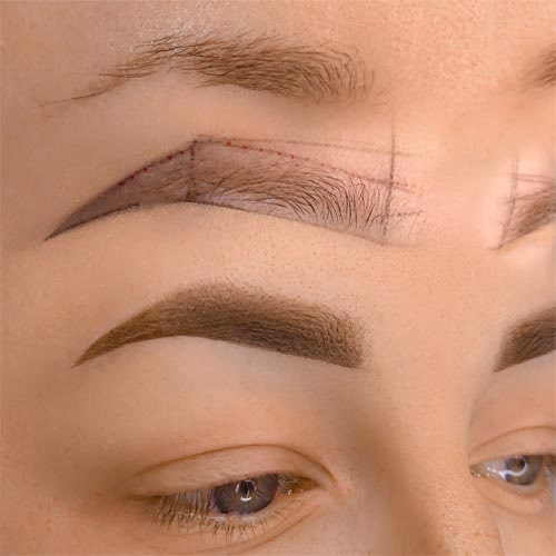 Permanent Make-up, Waxing, Microblading, Augenbrauen, Wipmern, Lidstrich, Lippen, Haare, Narben, Gesicht, dauerhaften kosmetischen T&auml;towierungen